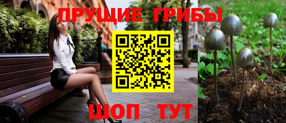 Галлюциногенные грибы GOLDEN TEACHER  Вход с VPN  Дедовск 